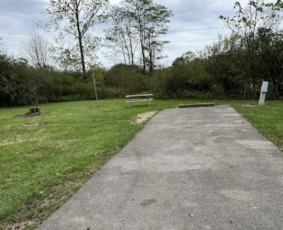 Campsite 203 (Electric Only)