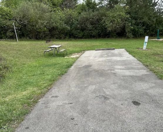 Campsite 142 (Electric Only)