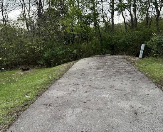 Campsite 141 (Electric Only)