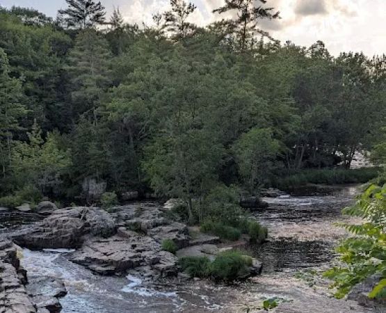 Dells of Eau Claire group campsite