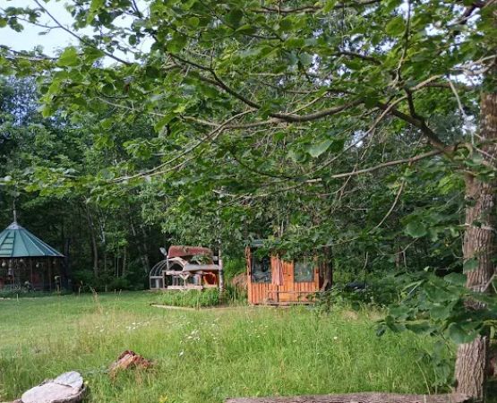 The Wellness Retreat