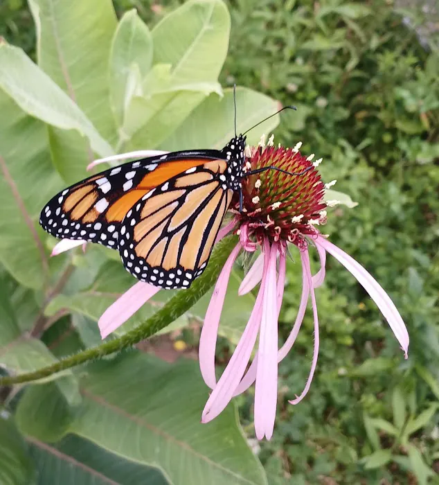 The Wellness Retreat Picture 9