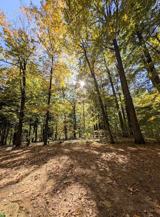 Council Grounds State Park Group Campground Picture 5