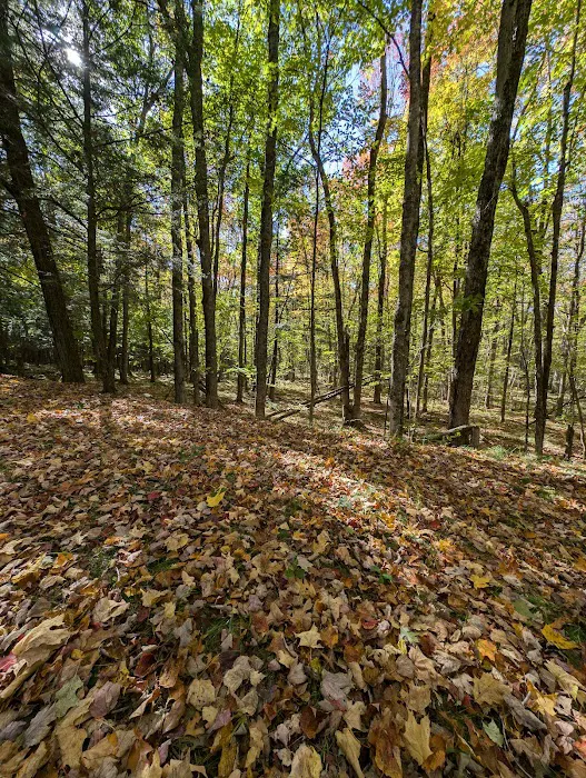 Council Grounds State Park Group Campground Picture 10