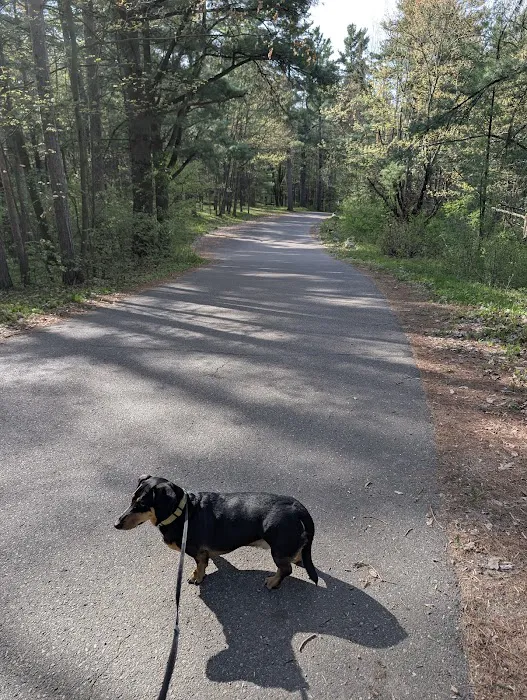 Council Grounds State Park Group Campground Picture 6