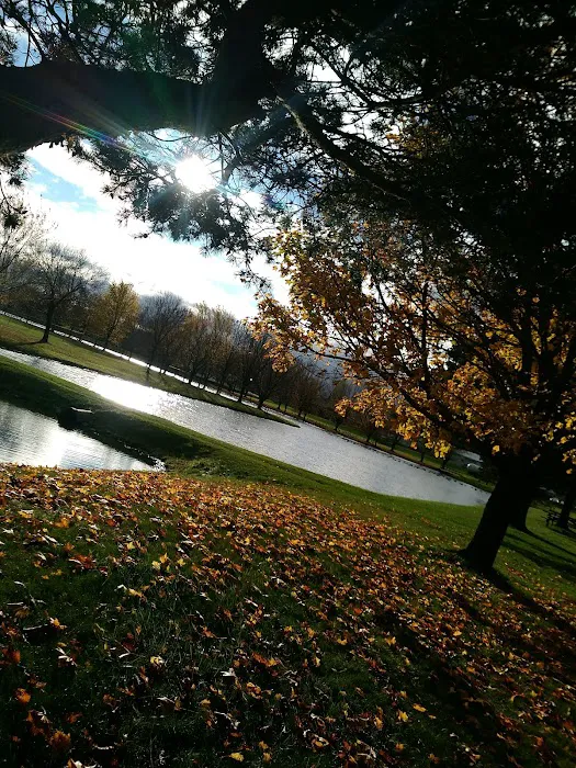 Dorchester Park and Campground Picture 10