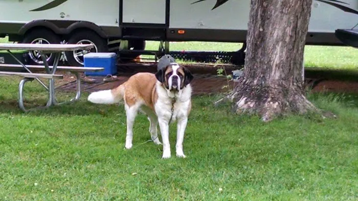 Langlade Veterans Memorial Pk Picture 5