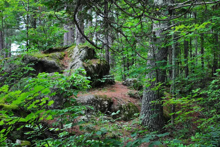 Big Falls County Park & Campground Picture 1