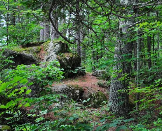 Big Falls County Park & Campground