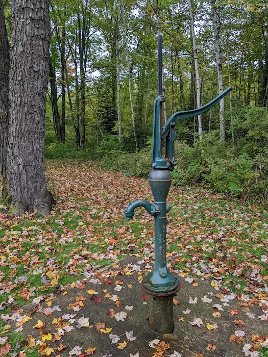 Cooper Dam Campground Picture 6