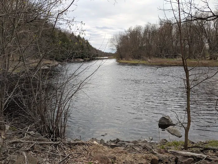 Spearhead Point Campground Picture 7