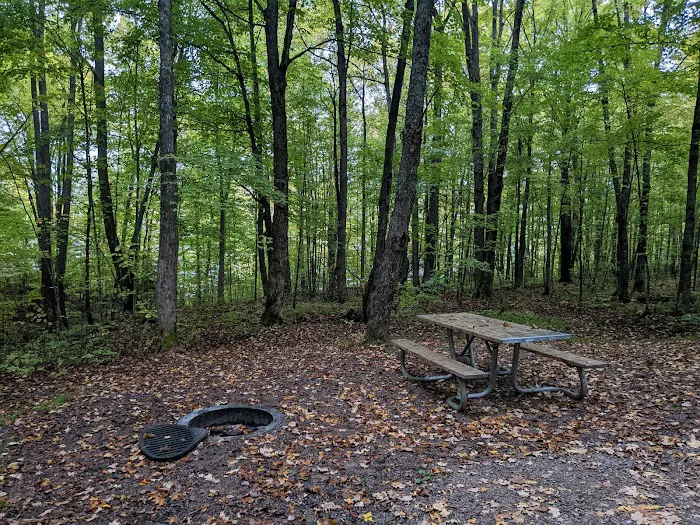 The Eastwood Campground Picture 6