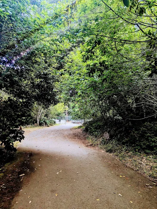 The Eastwood Campground Picture 10