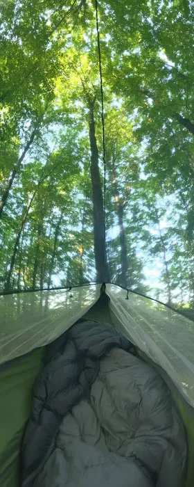 The Eastwood Campground Picture 1