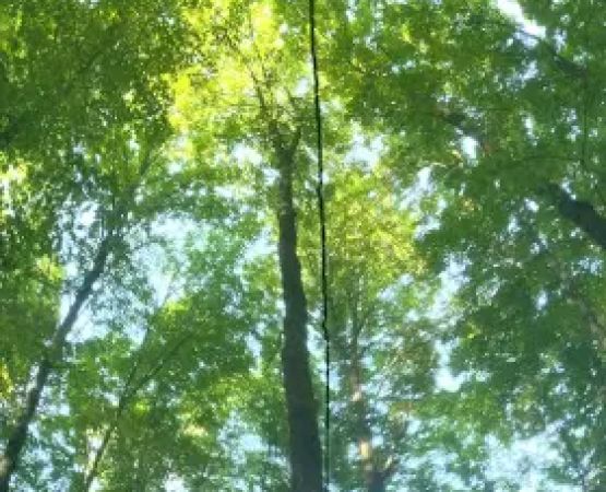 The Eastwood Campground