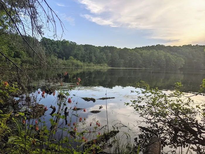 The Eastwood Campground Picture 7