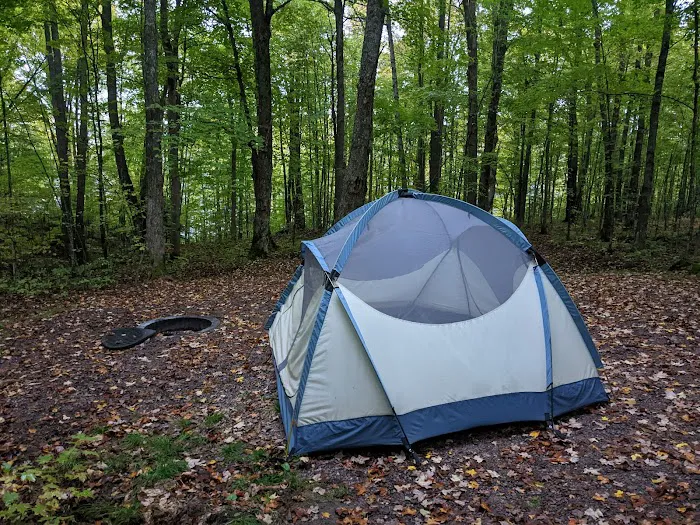 The Eastwood Campground Picture 8