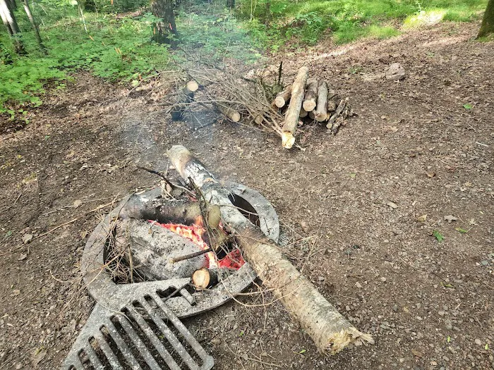 The Eastwood Campground Picture 4