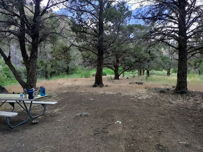 Chukar Park Recreation Site Picture 7