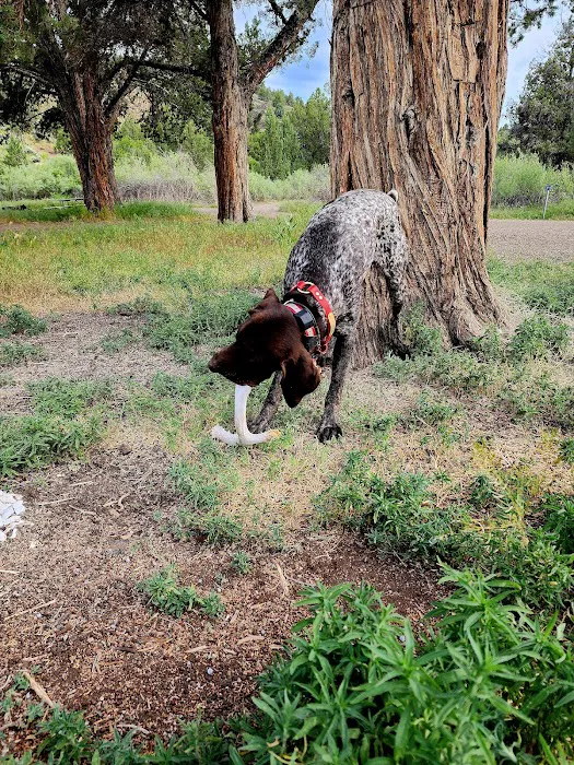 Chukar Park Recreation Site Picture 2