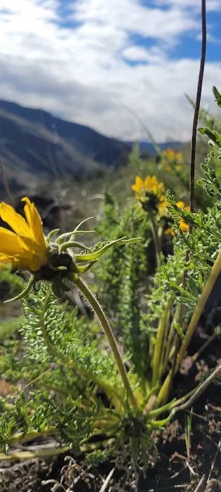 Chukar Park Recreation Site Picture 1