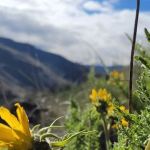 Chukar Park Recreation Site