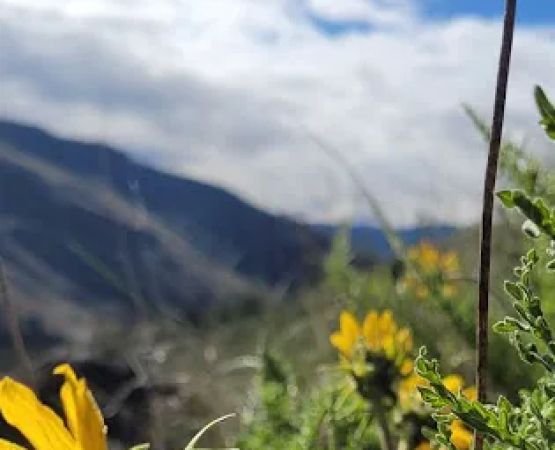 Chukar Park Recreation Site