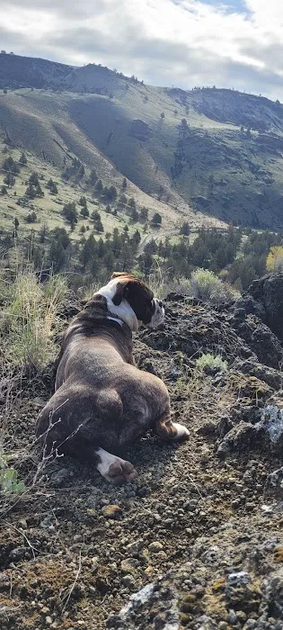 Chukar Park Recreation Site Picture 4