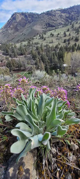 Chukar Park Recreation Site Picture 3