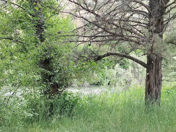 Chukar Park Recreation Site Picture 10