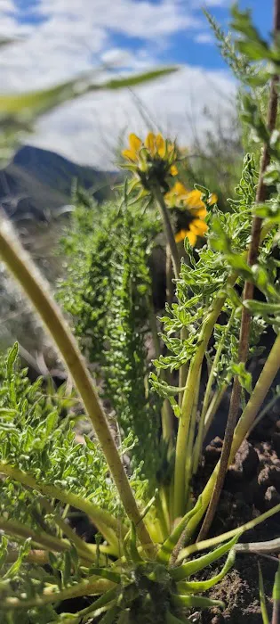 Chukar Park Recreation Site Picture 9