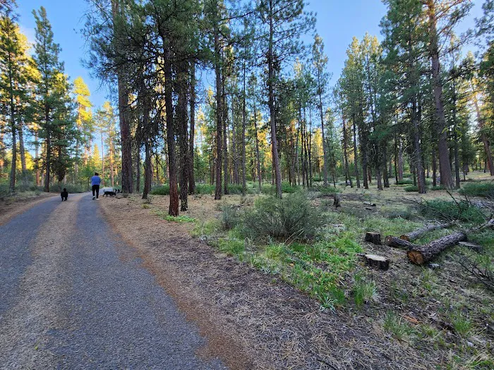 Joaquin Miller Horse Camp Picture 8