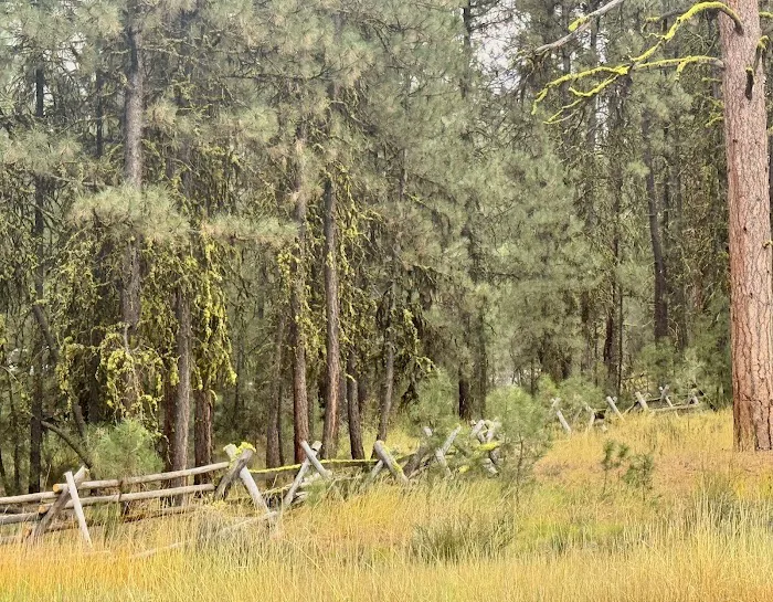 Joaquin Miller Horse Camp Picture 4