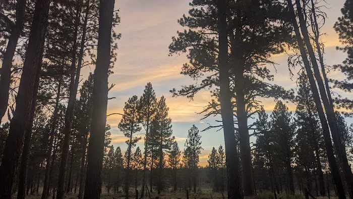 Joaquin Miller Horse Camp Picture 9