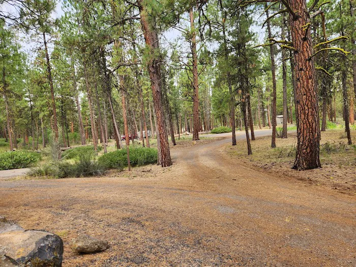 Joaquin Miller Horse Camp Picture 6