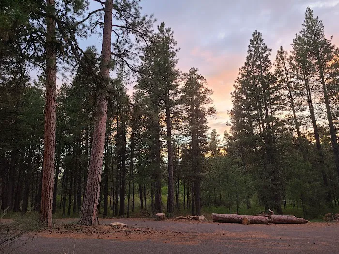 Idlewild Campground Picture 1