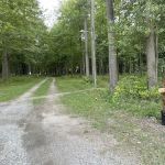 Fort Wilderness Campground