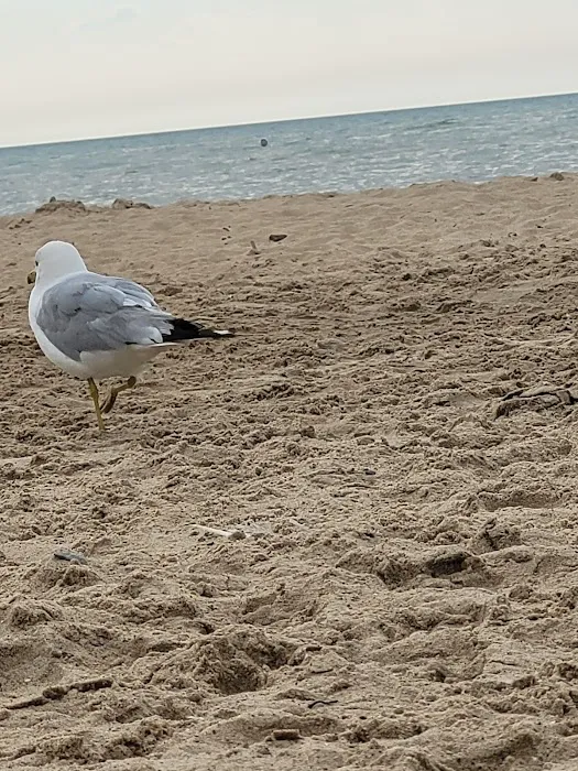 Caseville County Park Picture 6