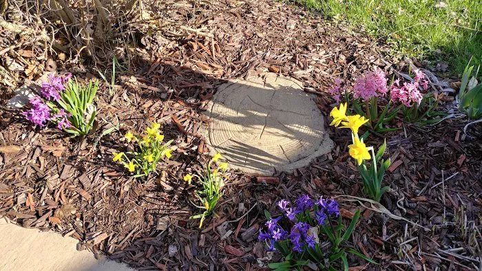 Windy Hill Campground Picture 9