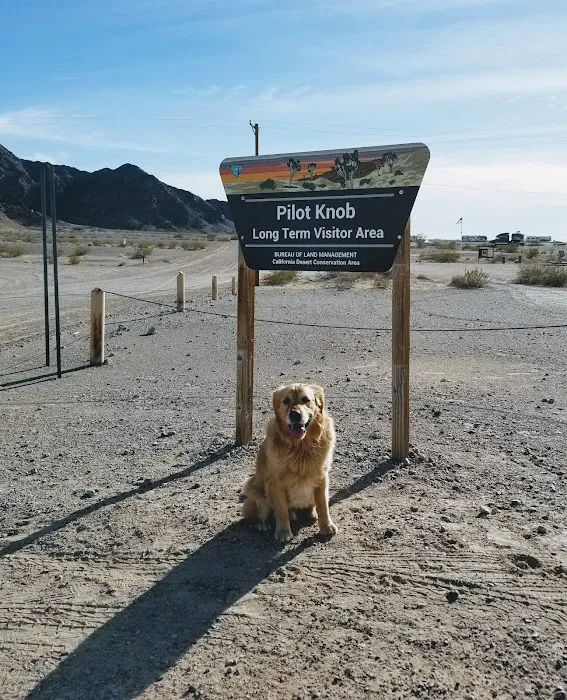 BLM Pilot Knob Long Term Visitor Area Picture 1