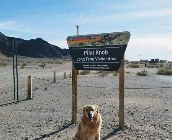 BLM Pilot Knob Long Term Visitor Area