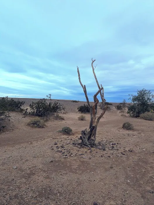 BLM Pilot Knob Long Term Visitor Area Picture 5