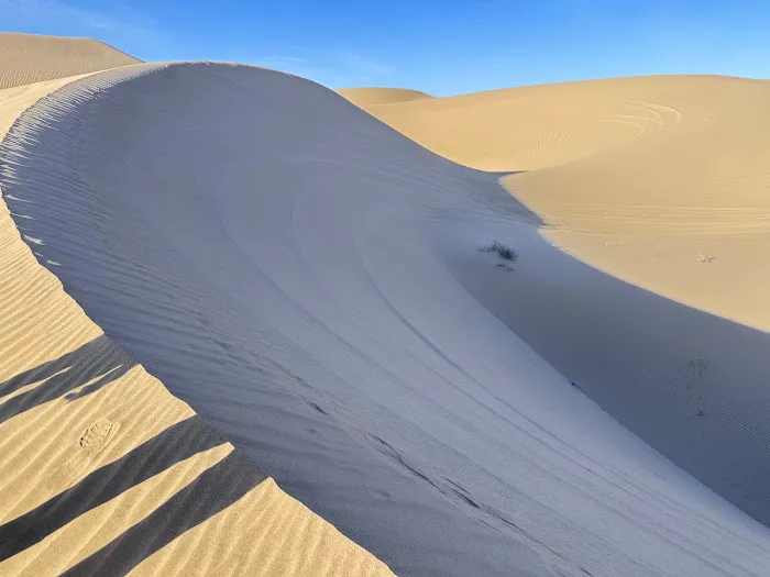 Pilot Knob 14 day Campground Picture 9