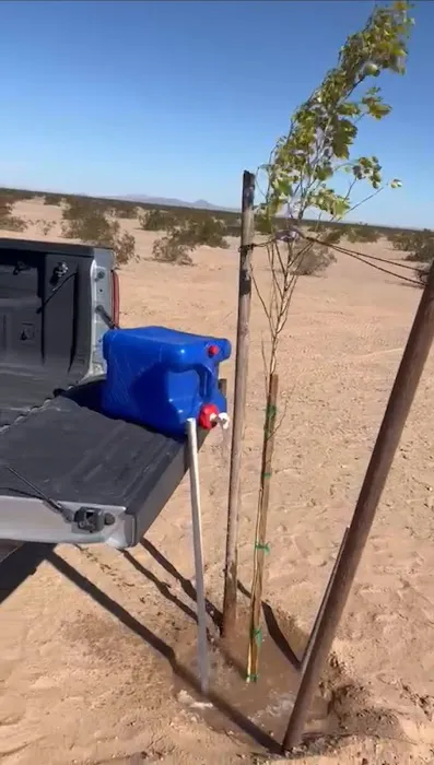 El Arbolito Picture 2