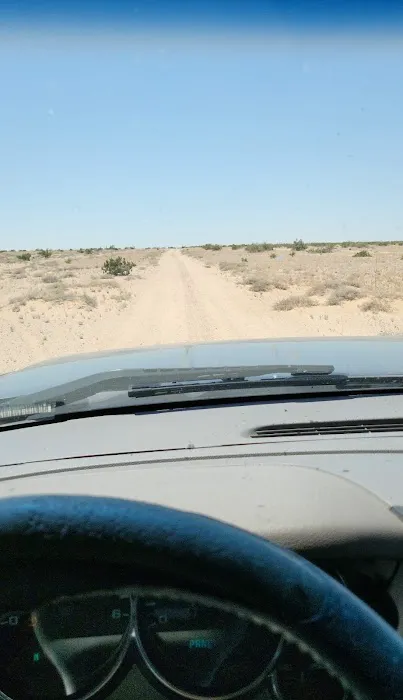 El Arbolito Picture 8