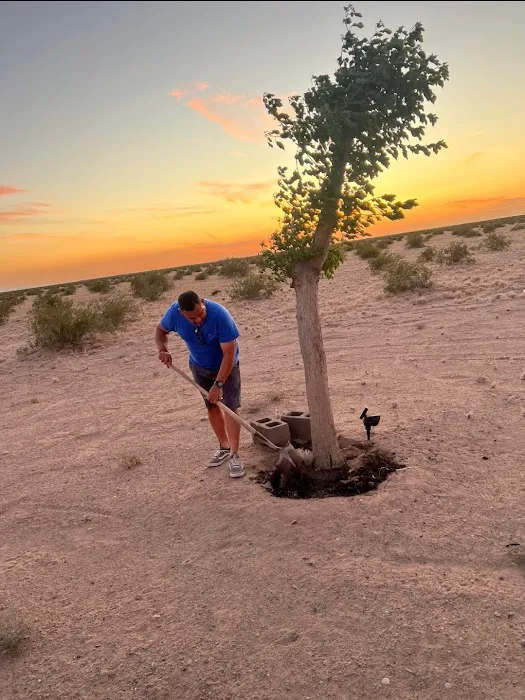 El Arbolito Picture 9