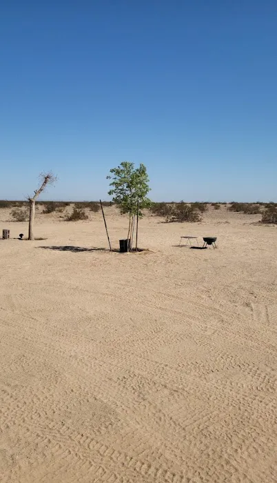 El Arbolito Picture 7