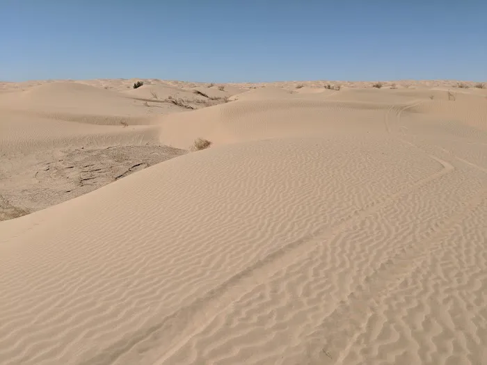 Ogilby Campground BLM Picture 8