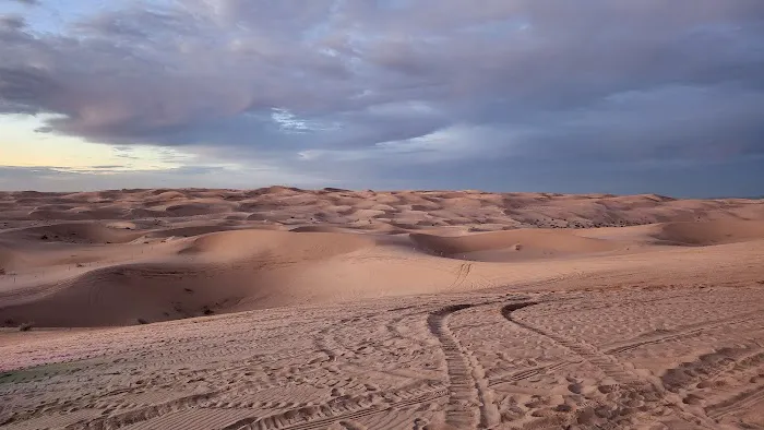 Dune Buggy Flats Picture 7