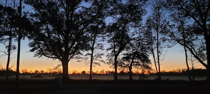 Renee's Galaxy Picture 1